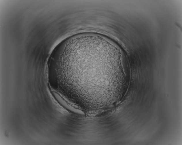 X0000091521522200709071005