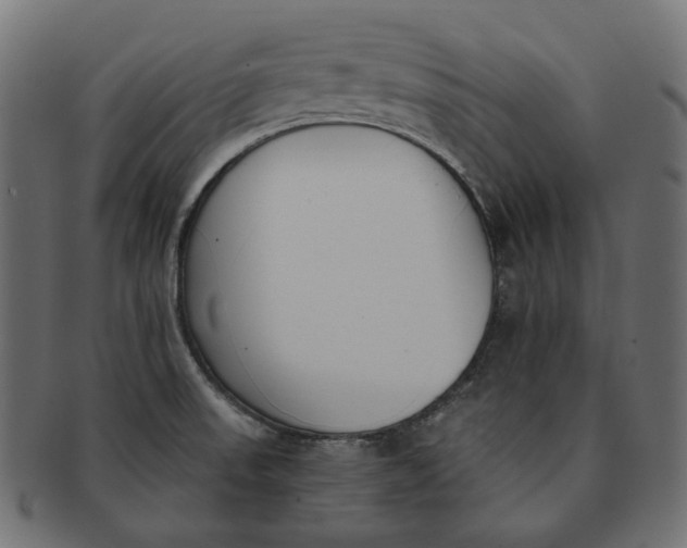 X0000091521523200709071005