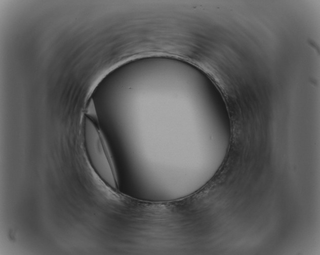 X0000091521524200709071005