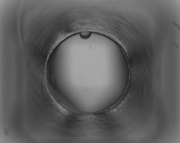 X0000091521525200709071005