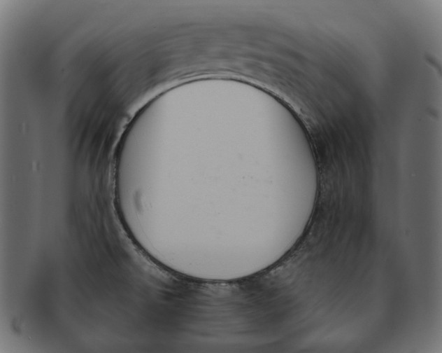 X0000091521526200709071005