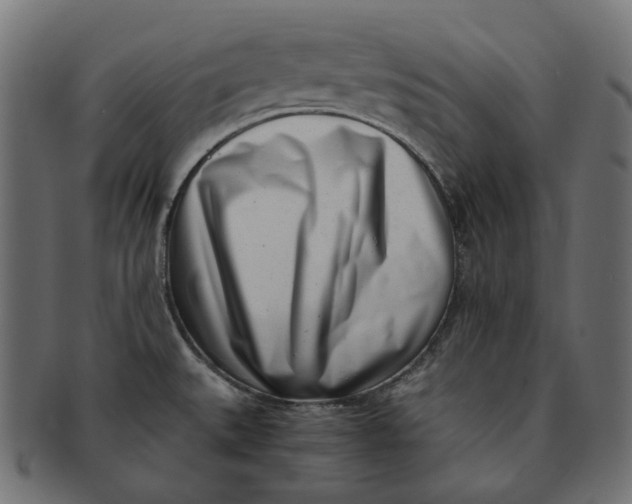 X0000091521527200709071005