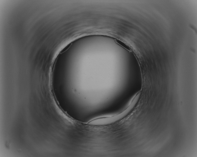 X0000091521528200709071005