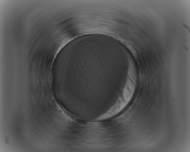 X0000091521529200709071005