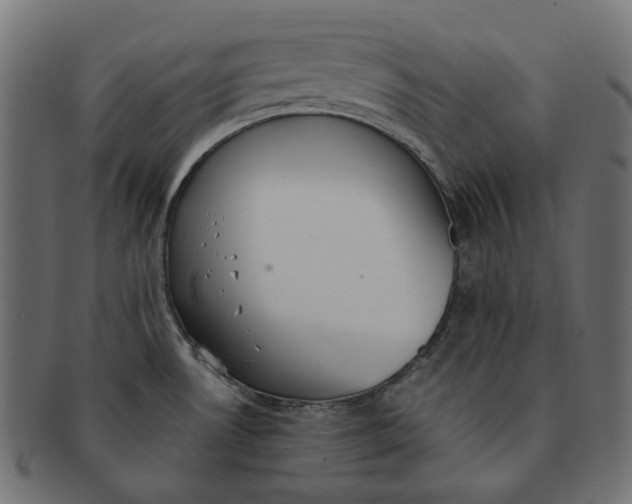 X0000091521530200709071005