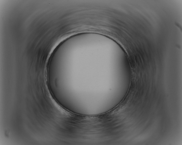 X0000091521531200709071005