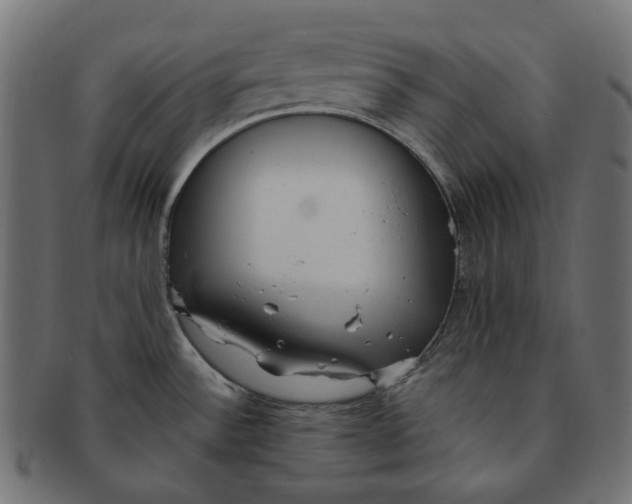 X0000091521532200709071005