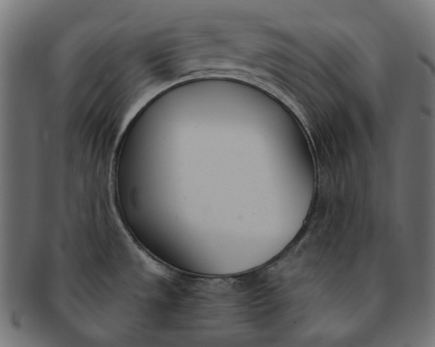 X0000091521533200709071005