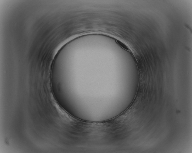 X0000091521534200709071005