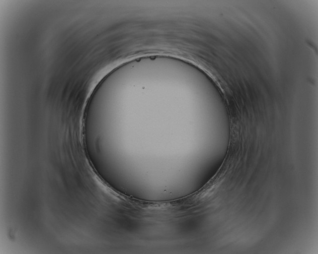 X0000091521535200709071005