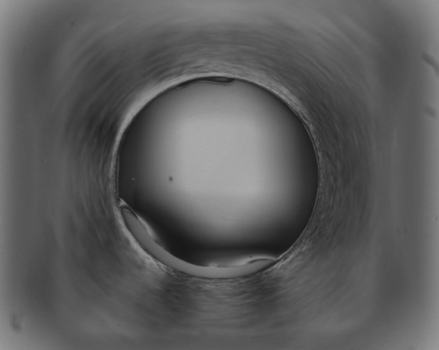 X0000091521536200709071005