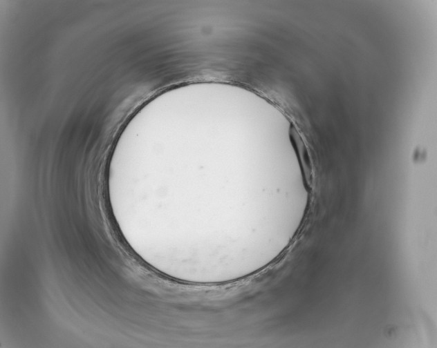 X0000091520001200709141424