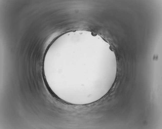 X0000091520003200709141424