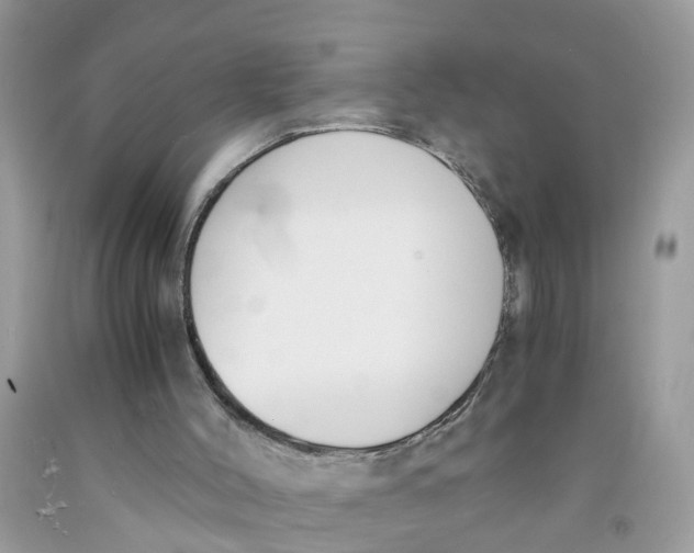 X0000091520004200709141424