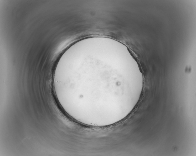 X0000091520005200709141424