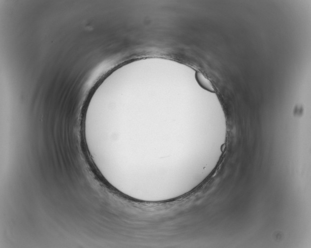 X0000091520006200709141424