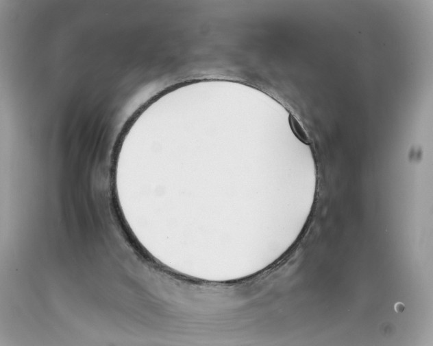 X0000091520008200709141424