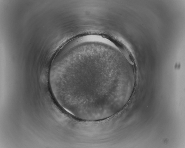 X0000091520009200709141424