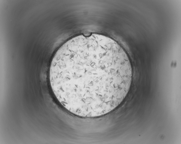 X0000091520010200709141424