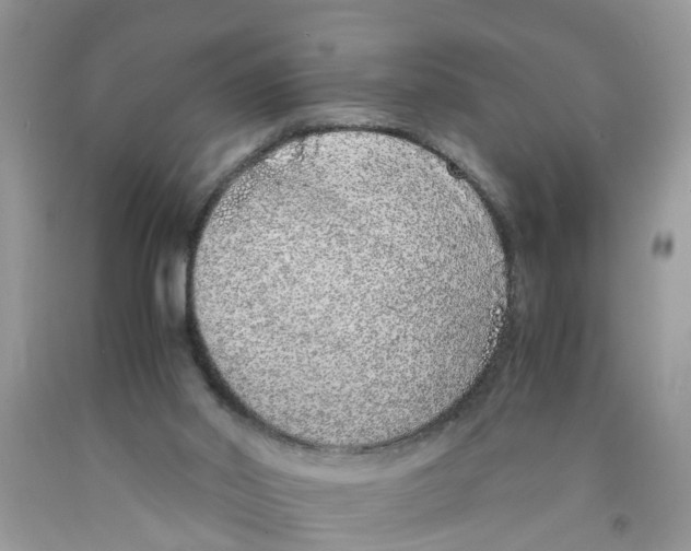 X0000091520014200709141424