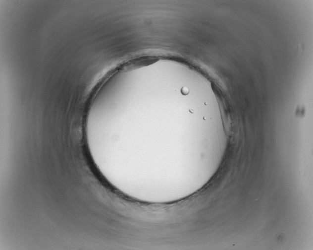 X0000091520015200709141424