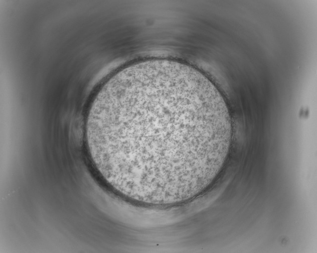 X0000091520016200709141424