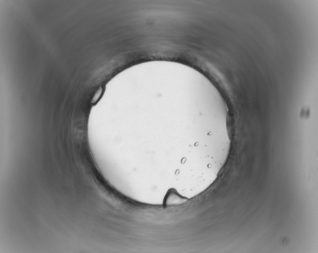 X0000091520017200709141424