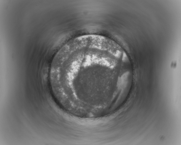 X0000091520018200709141424