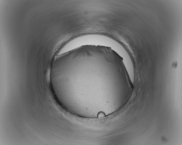 X0000091520019200709141424