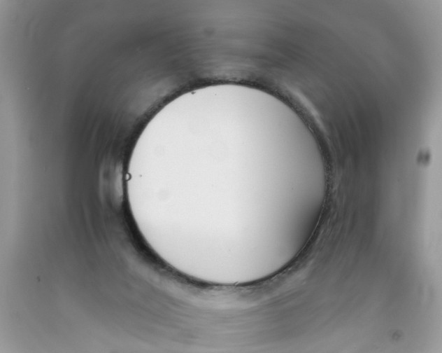 X0000091520020200709141424