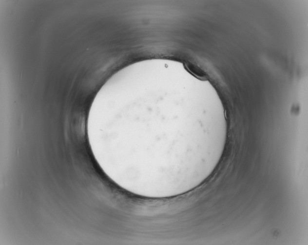 X0000091520021200709141424