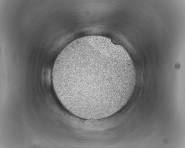 X0000091520022200709141424