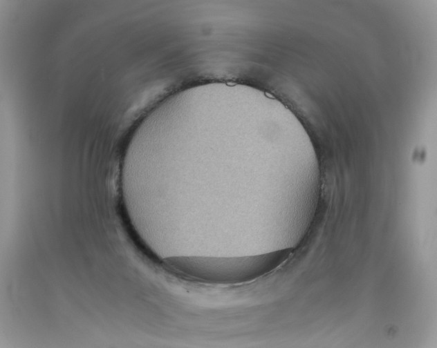 X0000091520023200709141423