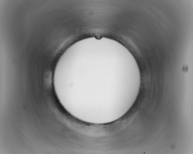 X0000091520024200709141423