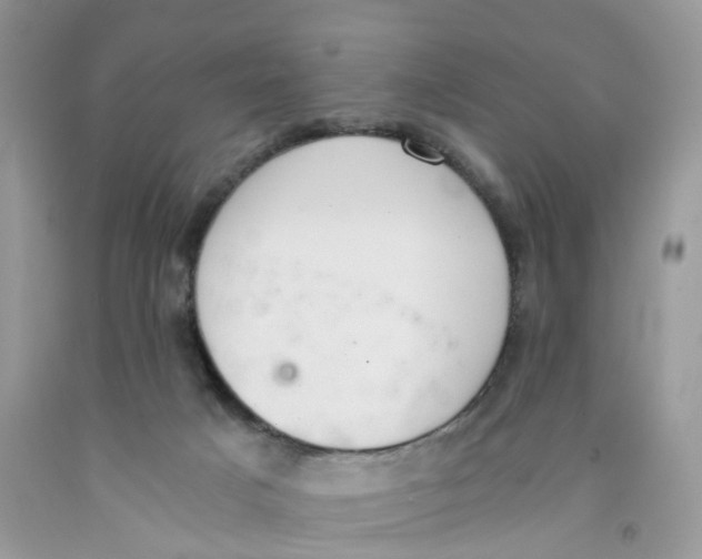 X0000091520025200709141423