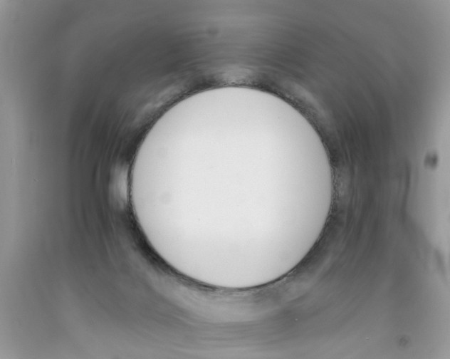 X0000091520028200709141423