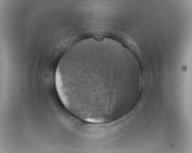 X0000091520029200709141423