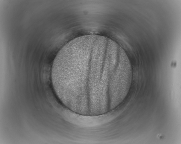 X0000091520030200709141423