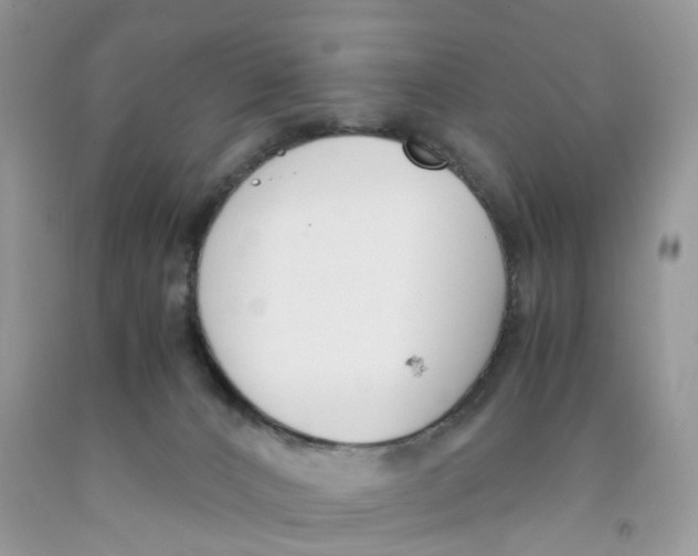 X0000091520032200709141423