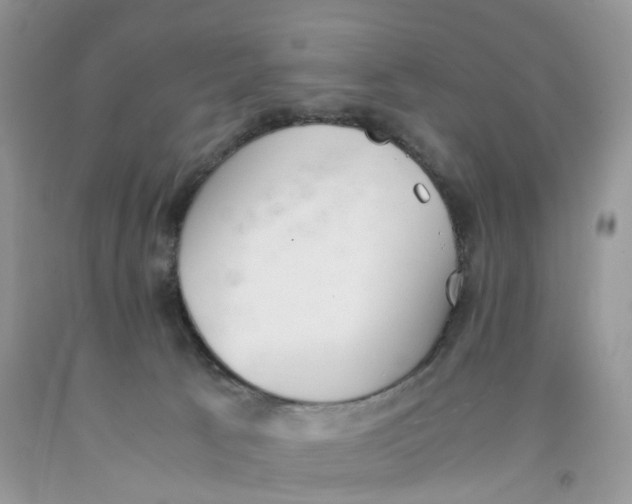 X0000091520033200709141423