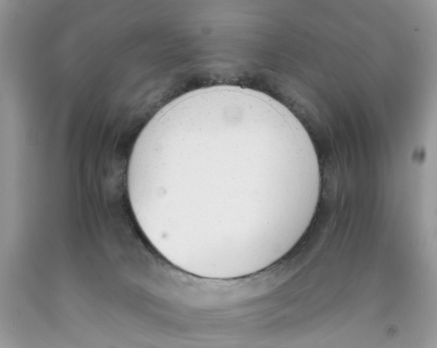 X0000091520034200709141423