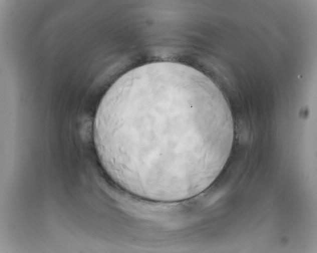 X0000091520036200709141423