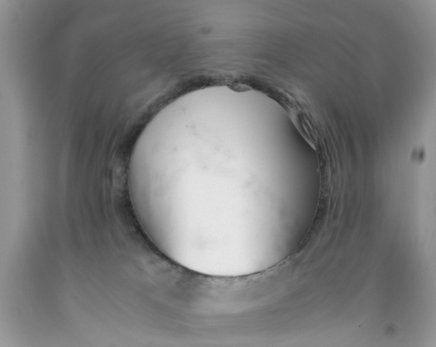 X0000091520037200709141423