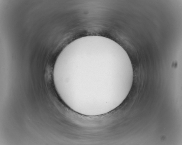 X0000091520038200709141423