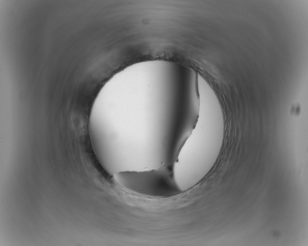 X0000091520039200709141423