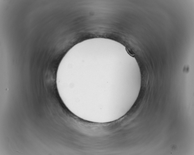 X0000091520040200709141423