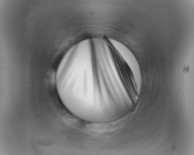 X0000091520041200709141423