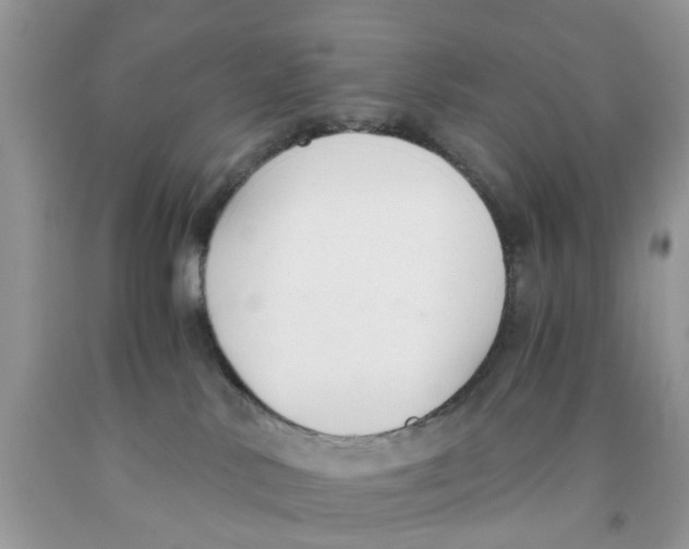 X0000091520042200709141423