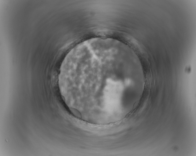 X0000091520043200709141423