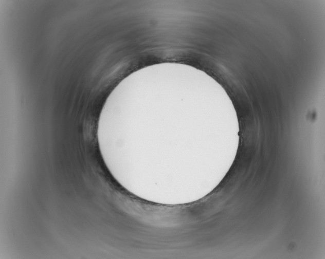 X0000091520044200709141423